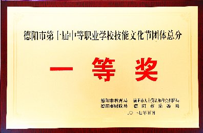 17年市級(jí)（含）以上獲獎(jiǎng)證書(shū)